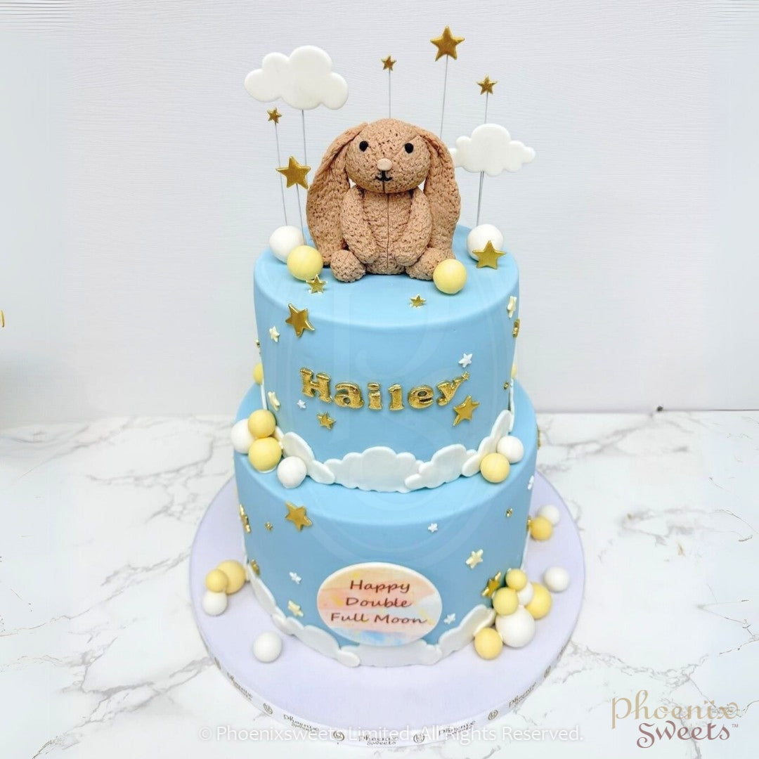 Fondant Cake - Precious Bunny Cake (2 tiers)