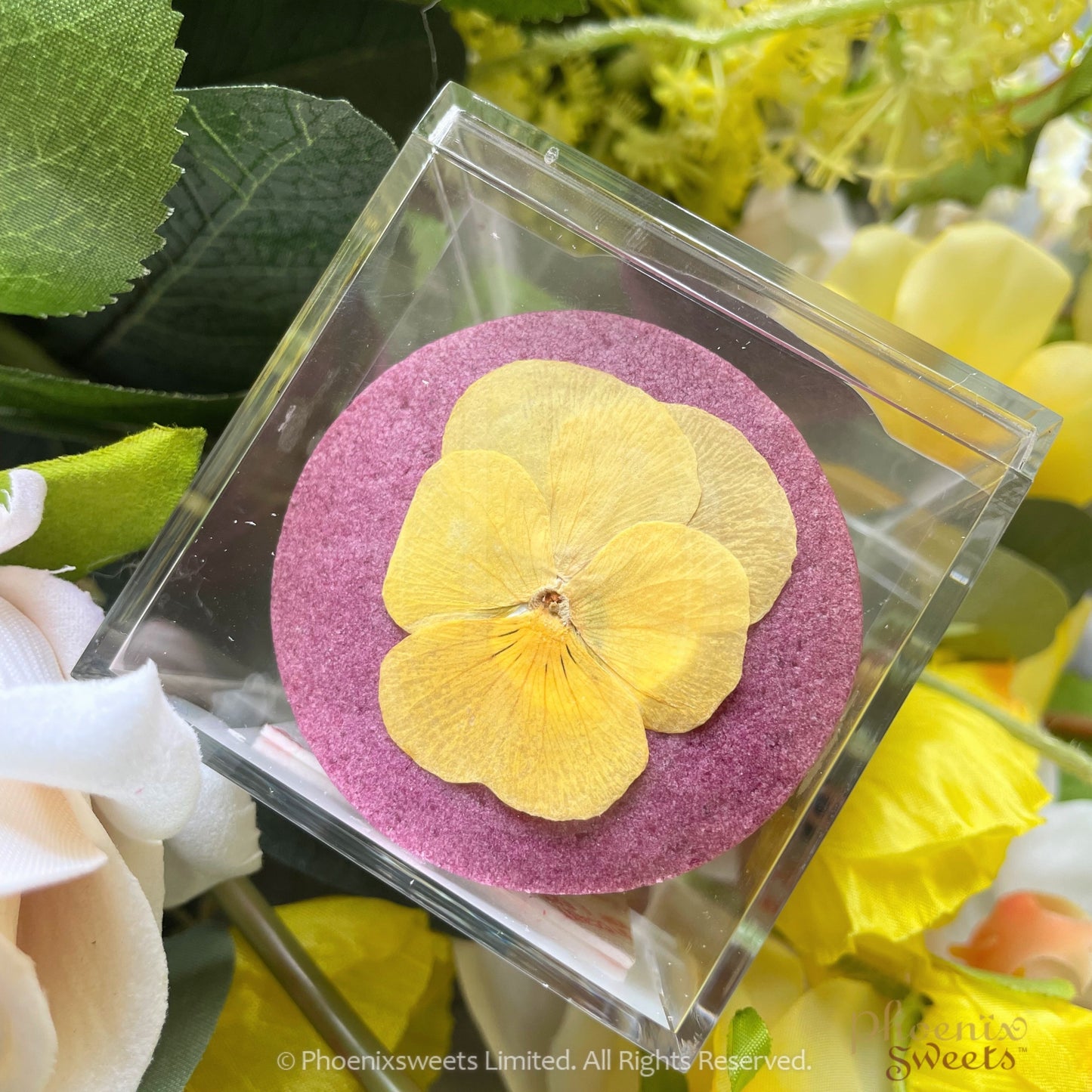 Cookie - Selected Homemade Cookie (Plastic Box Pack) / Japanese Dried Flower