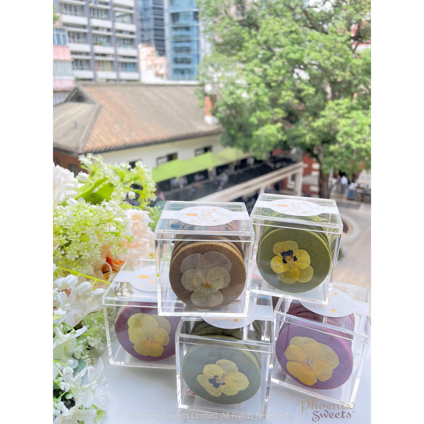 Cookie - Selected Homemade Cookie (Plastic Box Pack) / Japanese Dried Flower